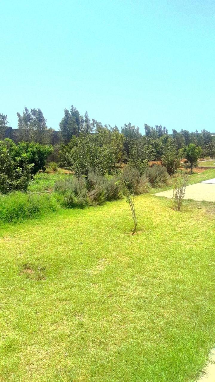 Ferme Prive Avec Piscine Villa Safi Luaran gambar